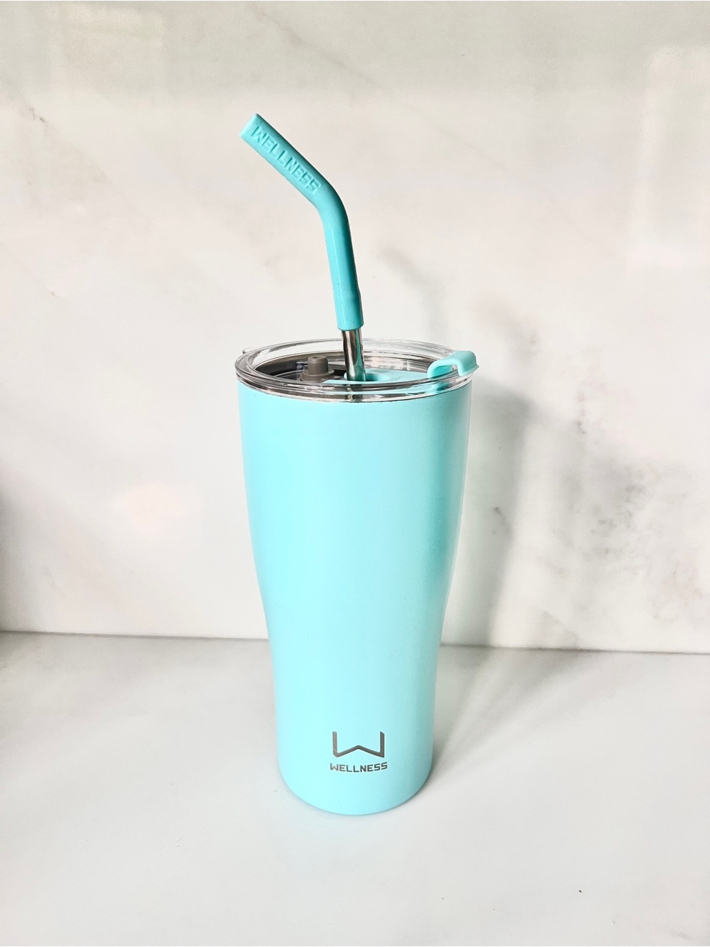 Wellness Double Wall Stainless Steel Tumbler with Straw Aqua powder 30oz 900 ml